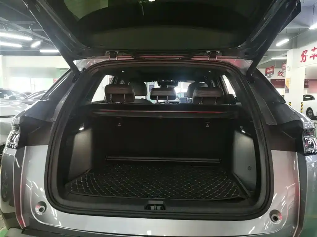 BYD L DM-i 2025 — фото 19