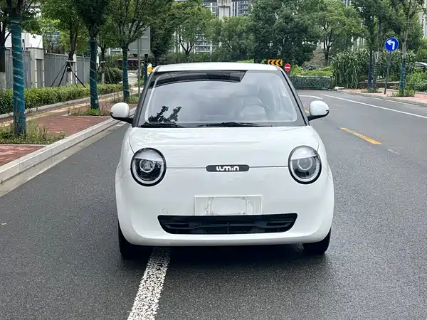 Changan Lumin 2024