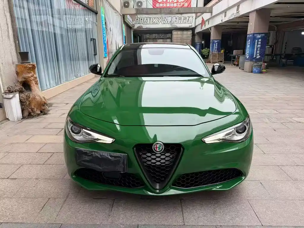 Alfa Romeo Giulia 2019 — фото 2