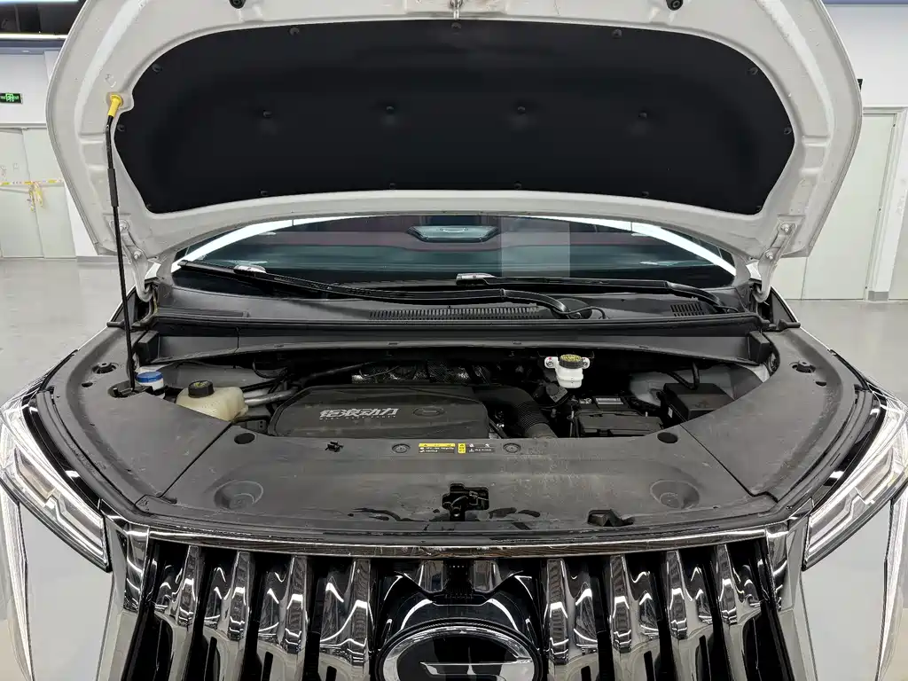 GAC Motor Trumpchi M8 2023 — фото 43
