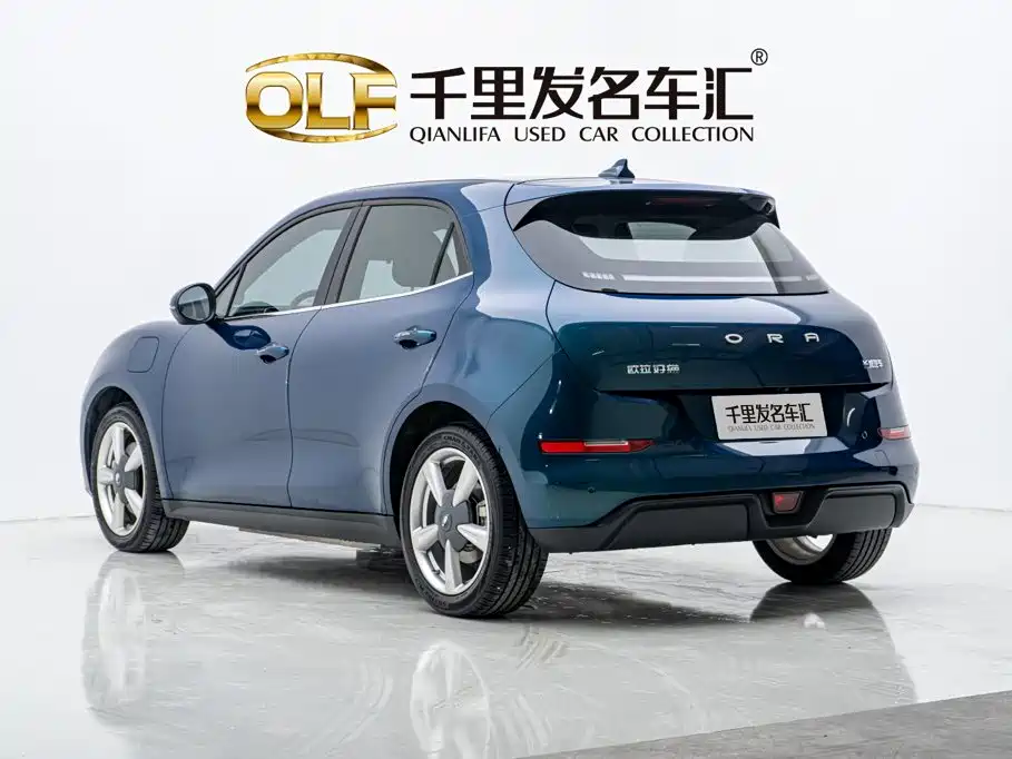 Ora Good Cat 2024