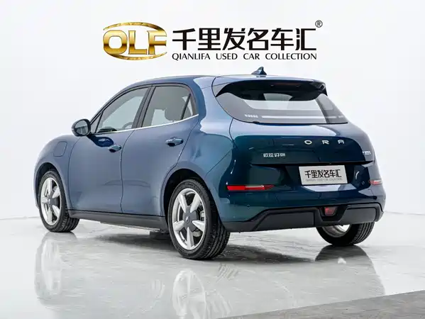 Ora Good Cat 2024