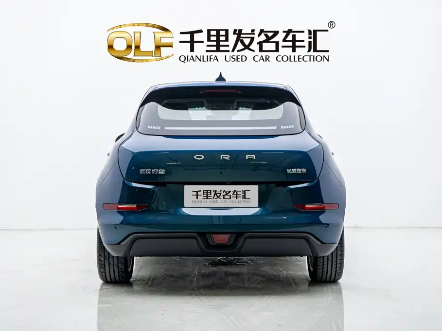 Ora Good Cat 2024