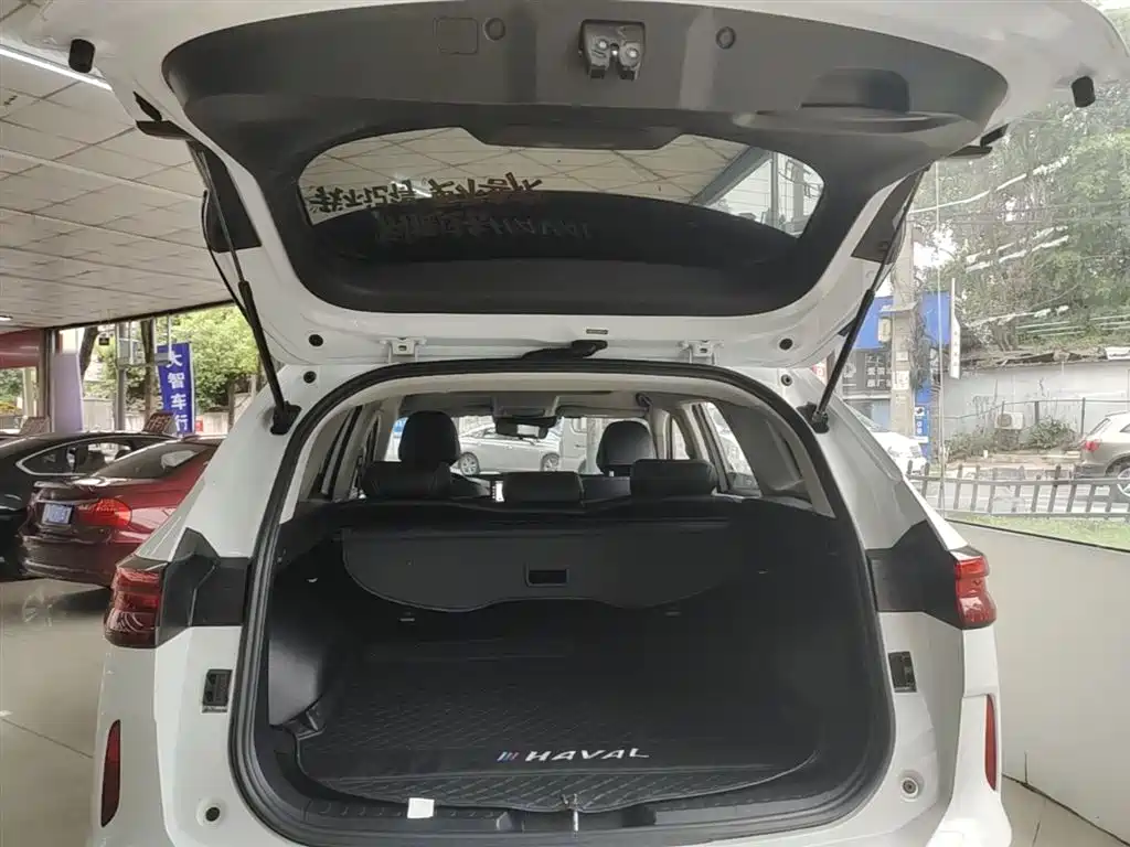 Haval H6 2023 — фото 19