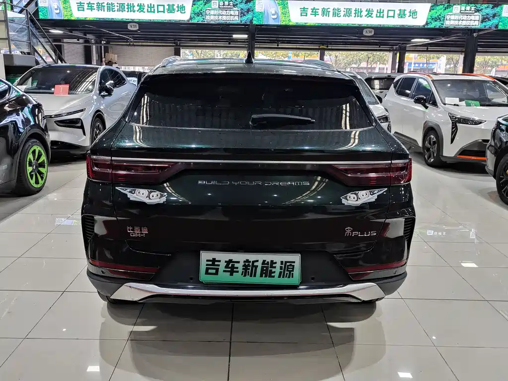 BYD PLUS New Energy 2022 — фото 5