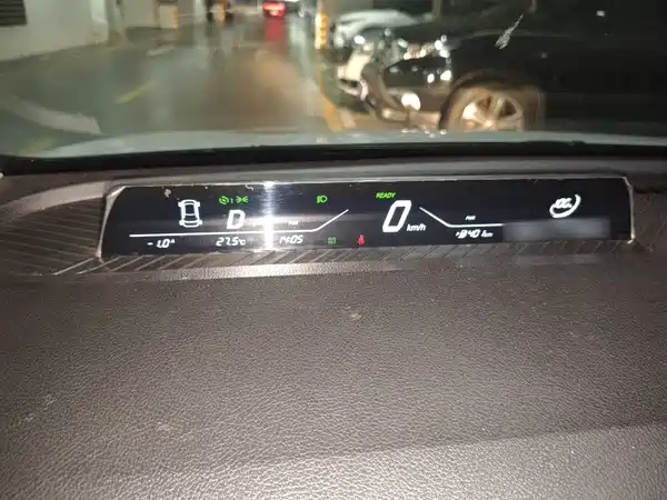 Neta V 2021