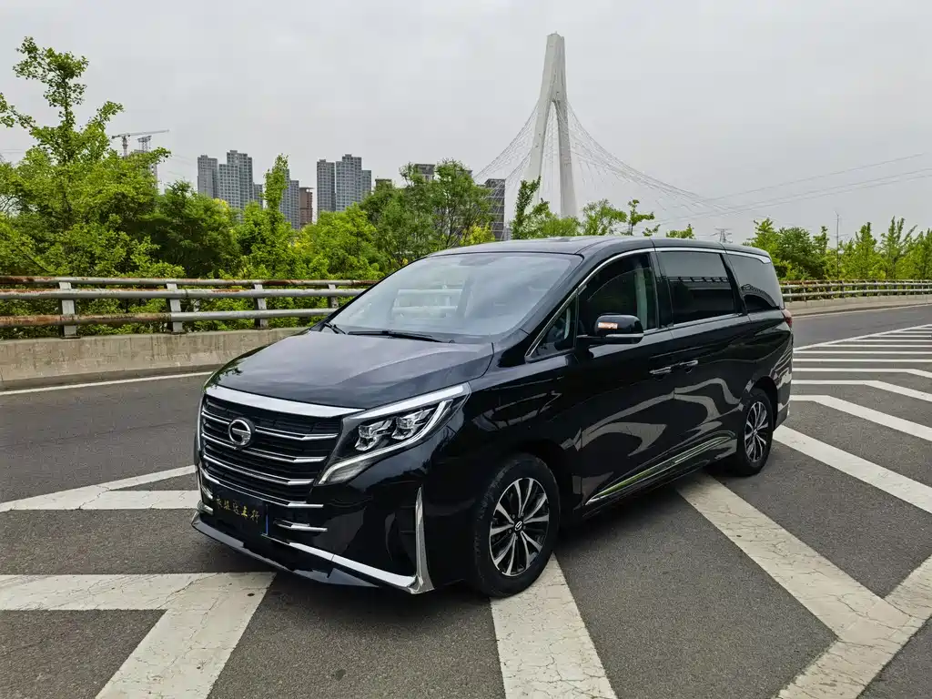 GAC Motor Trumpchi M8 2024 — фото 1