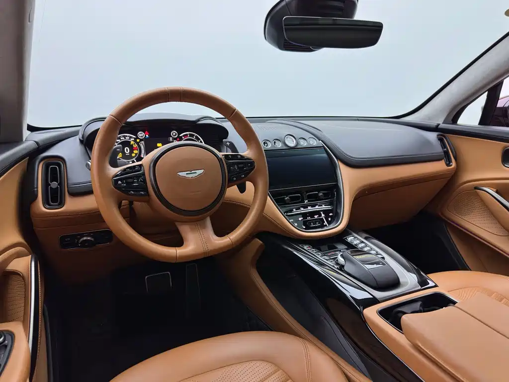 Aston Martin DBX 2021 — фото 15