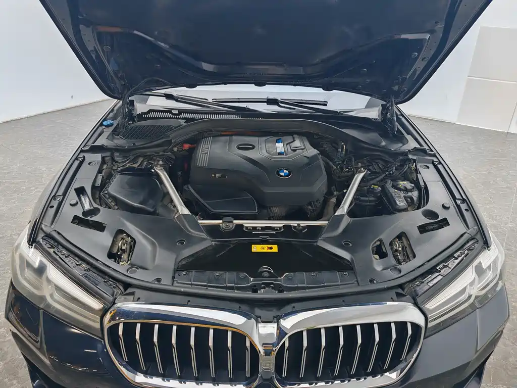 BMW 5 Series New Energy 2021 — фото 13