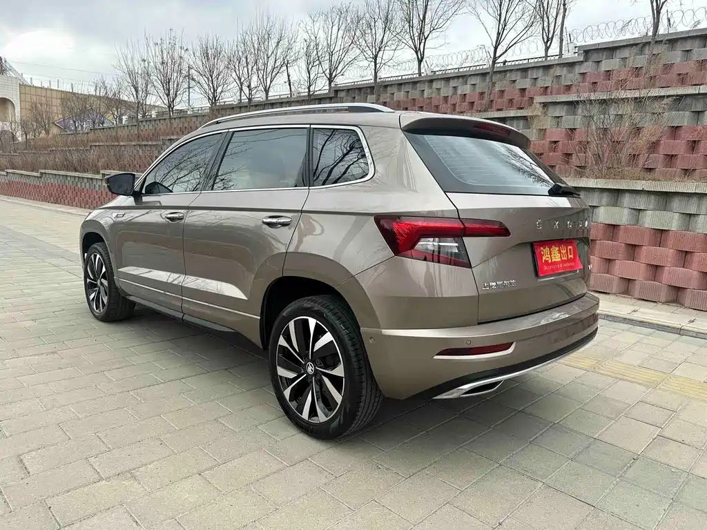 Skoda Karoq 2022 — фото 8
