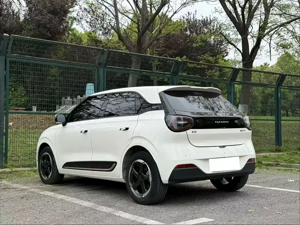 Dongfeng Nano 01 2025