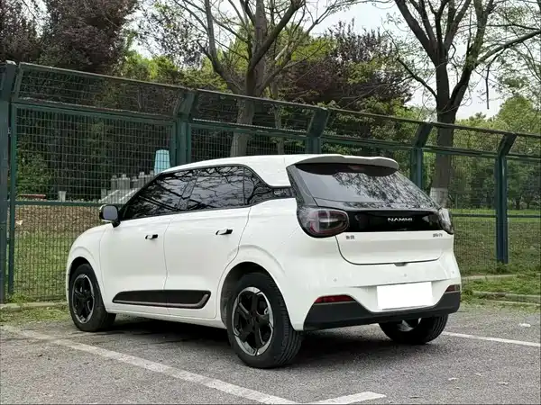 Dongfeng Nano 01 2025