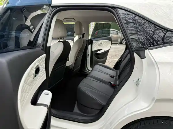 Dongfeng Nano 01 2025