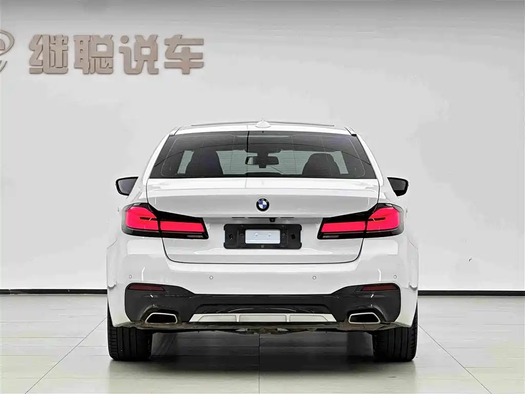 BMW 5 Series New Energy 2021