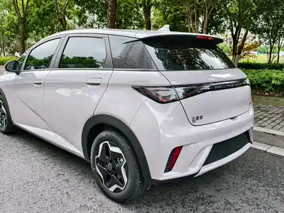 BYD Dolphin 2021