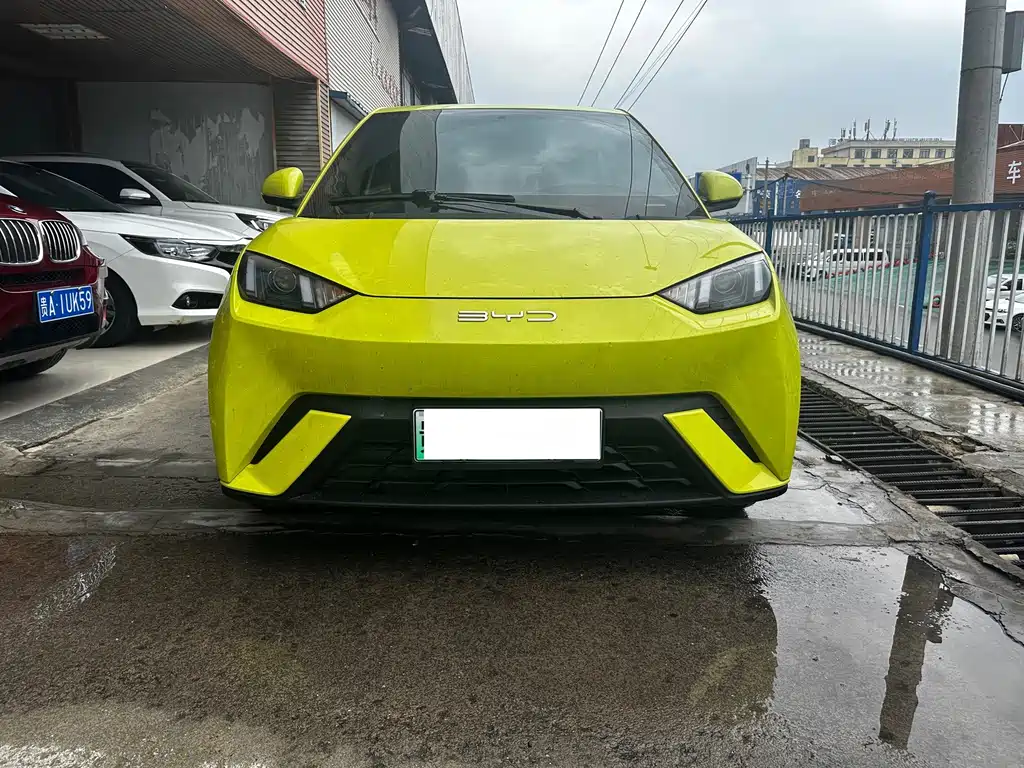 BYD Seagull 2024