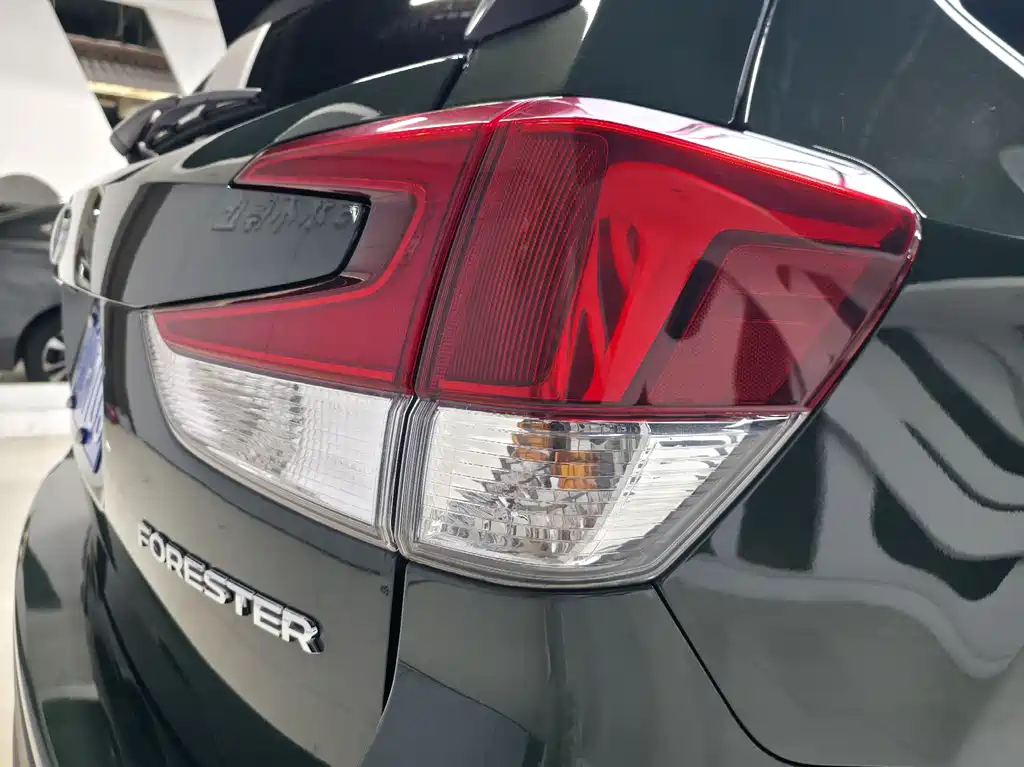 Subaru Forester 2021 — фото 19