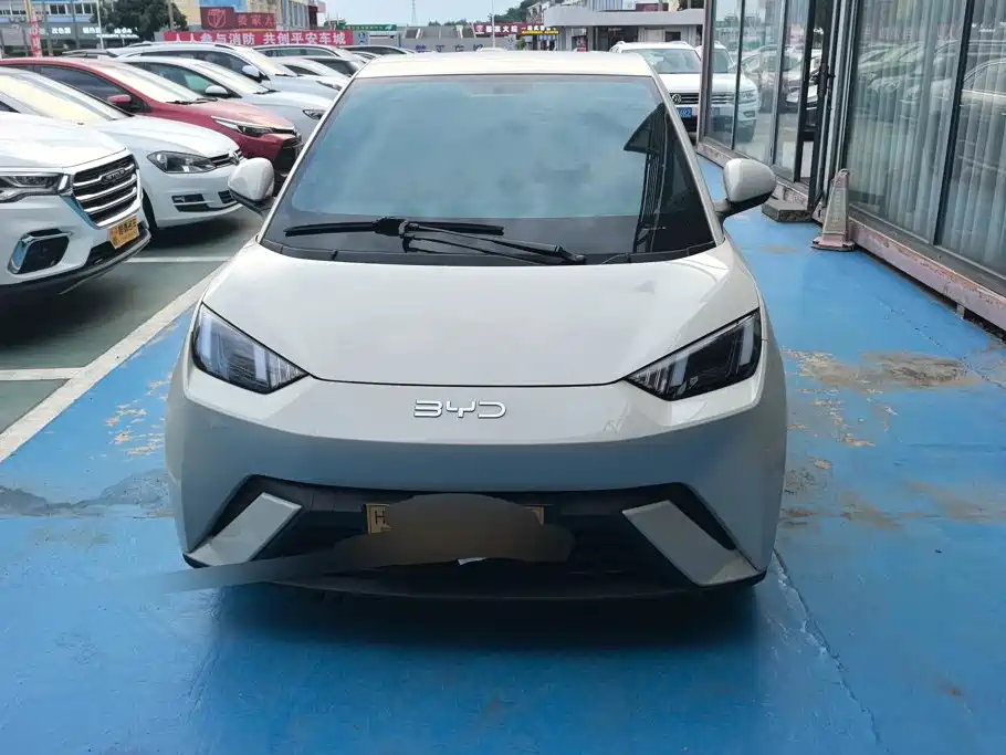 BYD Seagull 2024