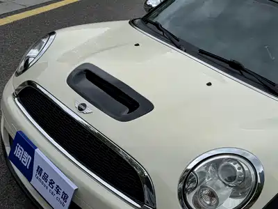 MINI MINI 2010