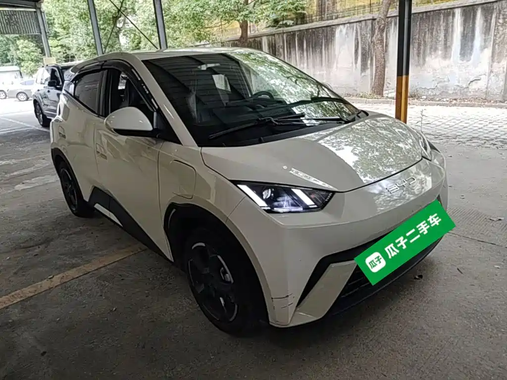 BYD Seagull 2024