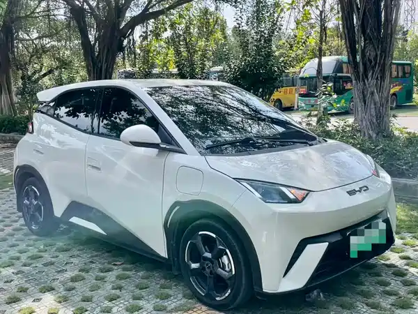 BYD Seagull 2024