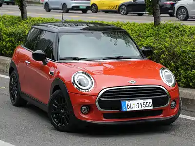 MINI MINI 2021