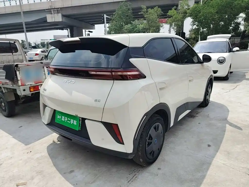 BYD Seagull 2025