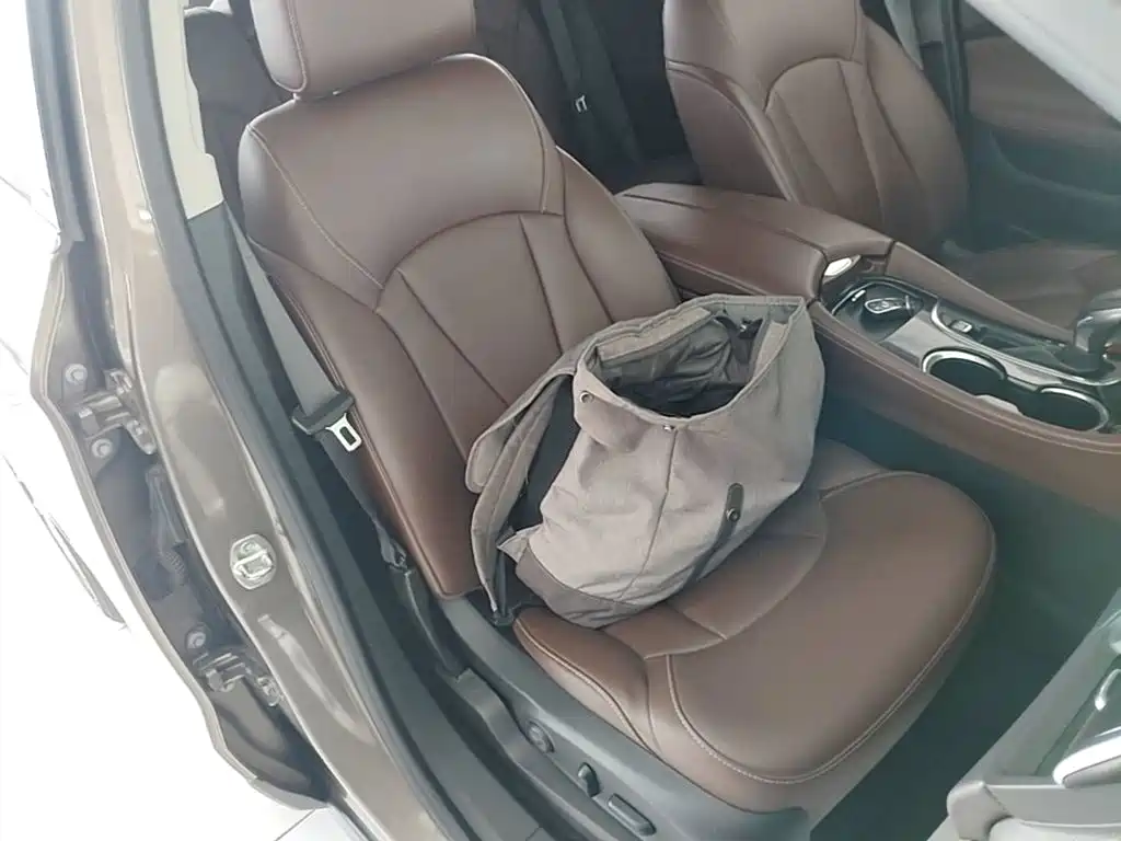 Buick Envision Plus 2018 — фото 25