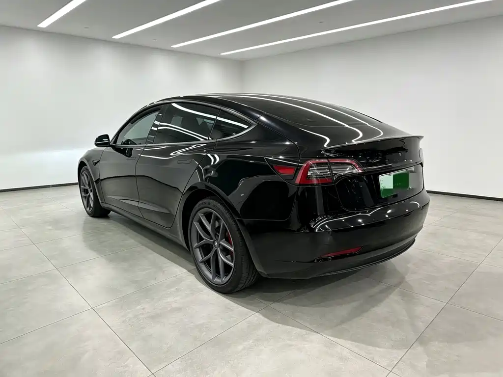 Tesla Model 3 2021 — фото 13