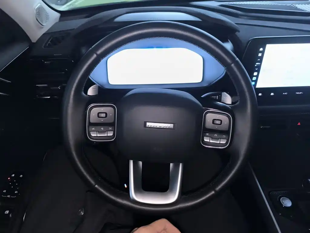 Haval Cool Dog 2022