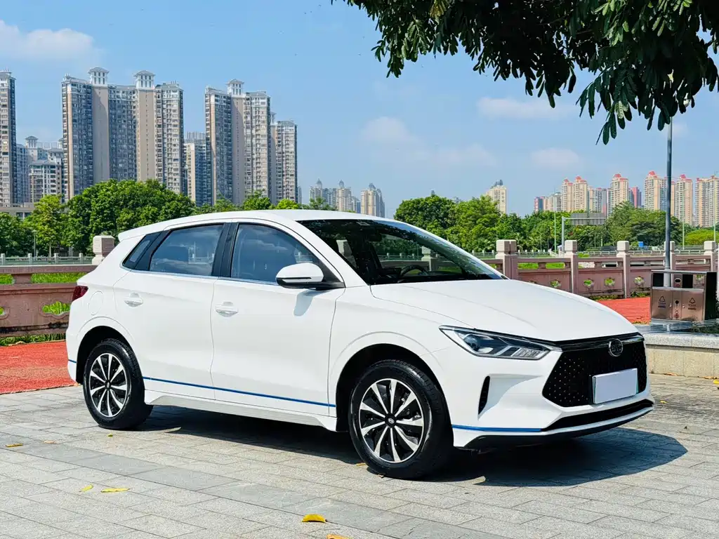 BYD e2 2021