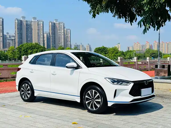 BYD e2 2021