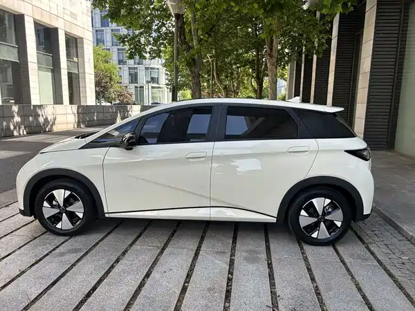 BYD Dolphin 2023