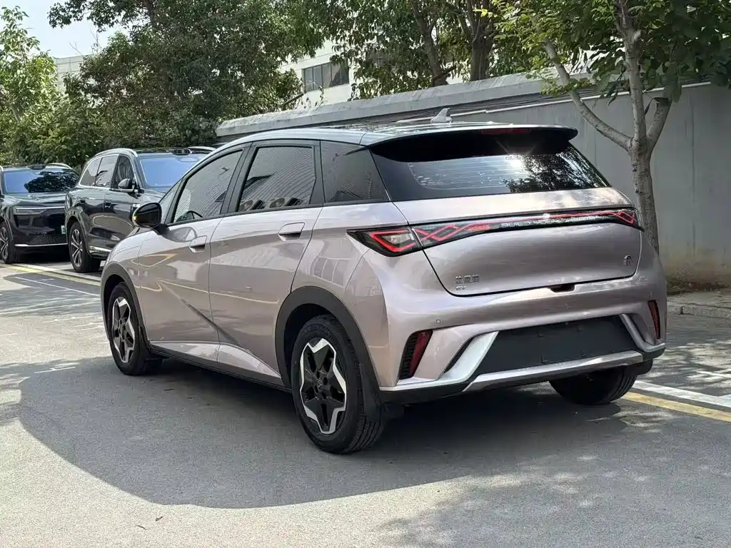 BYD Dolphin 2022