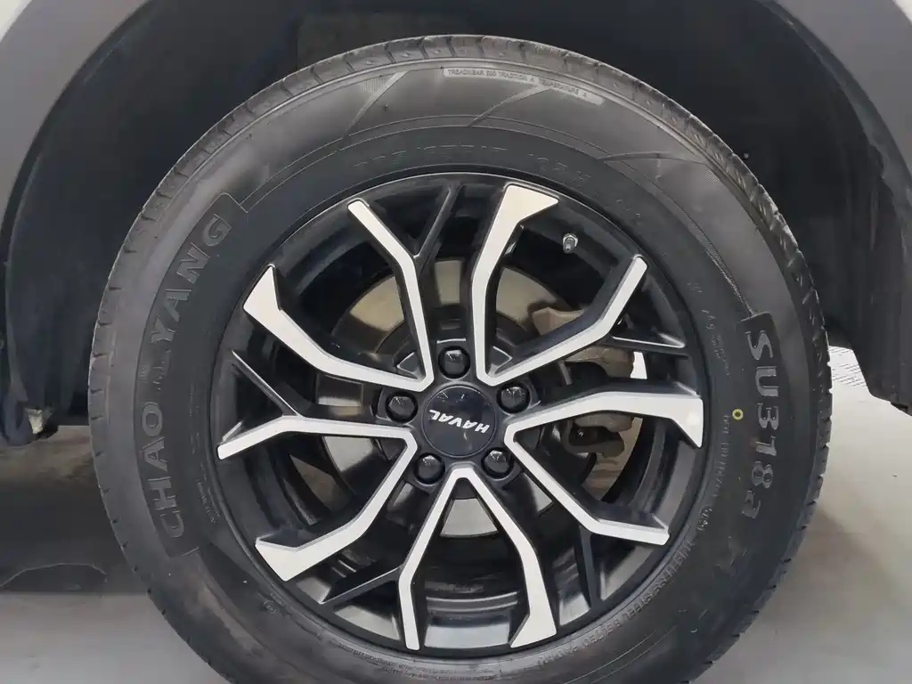 Haval H6 2023 — фото 14