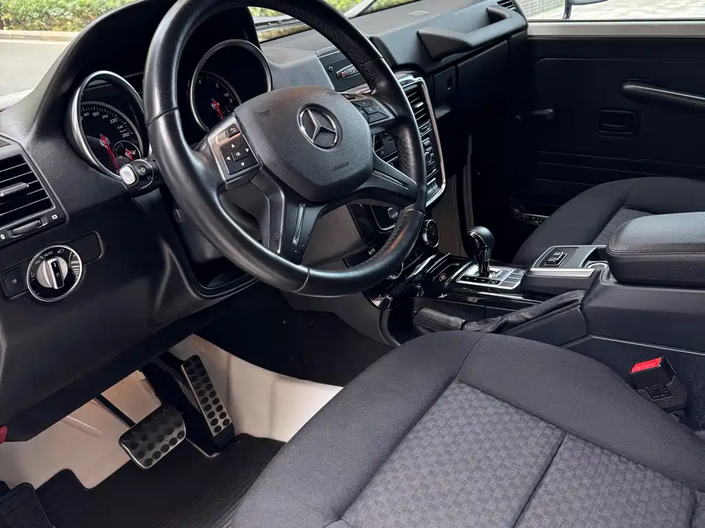 Mercedes-Benz G-Class 2016 — фото 14