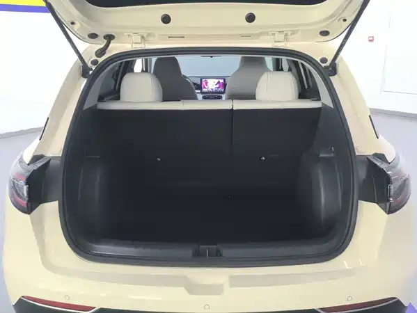 Geely Galaxy Starwish 2025