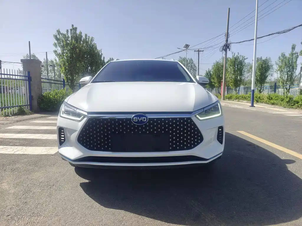 BYD e2 2020