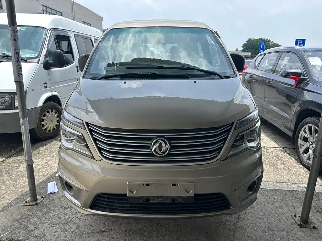 Fengxing Lingzhi 2019
