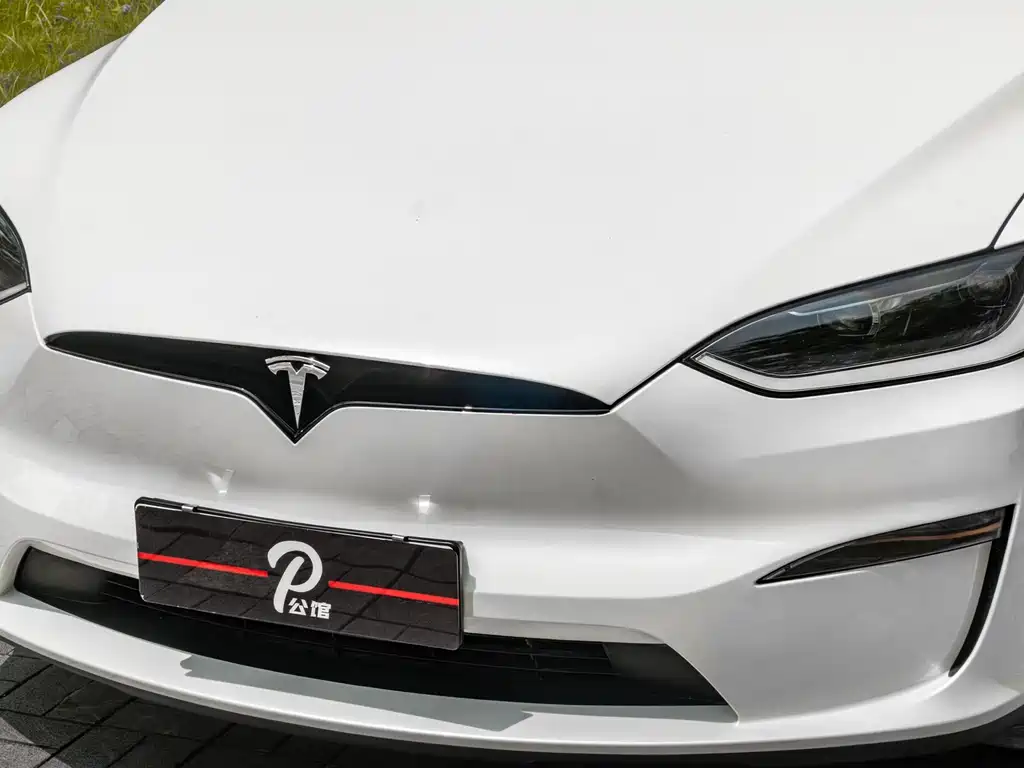 Tesla Model X 2023 — фото 8
