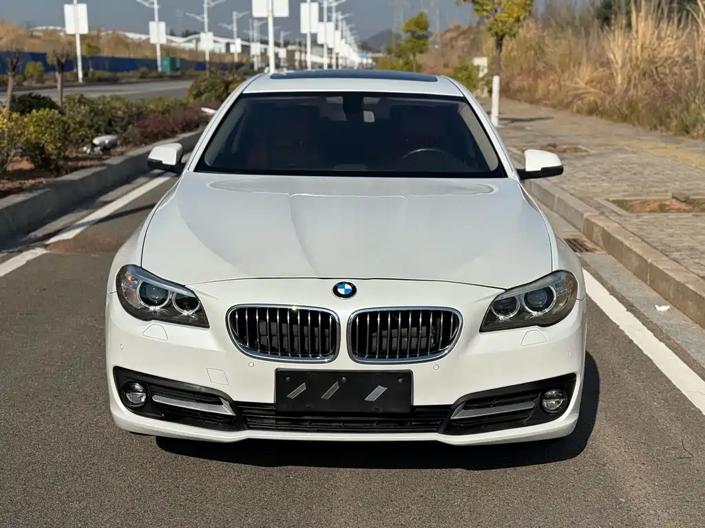 BMW 5 Series 2017 — фото 2