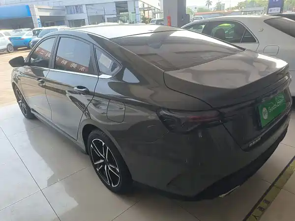 Geely Binrui 2024