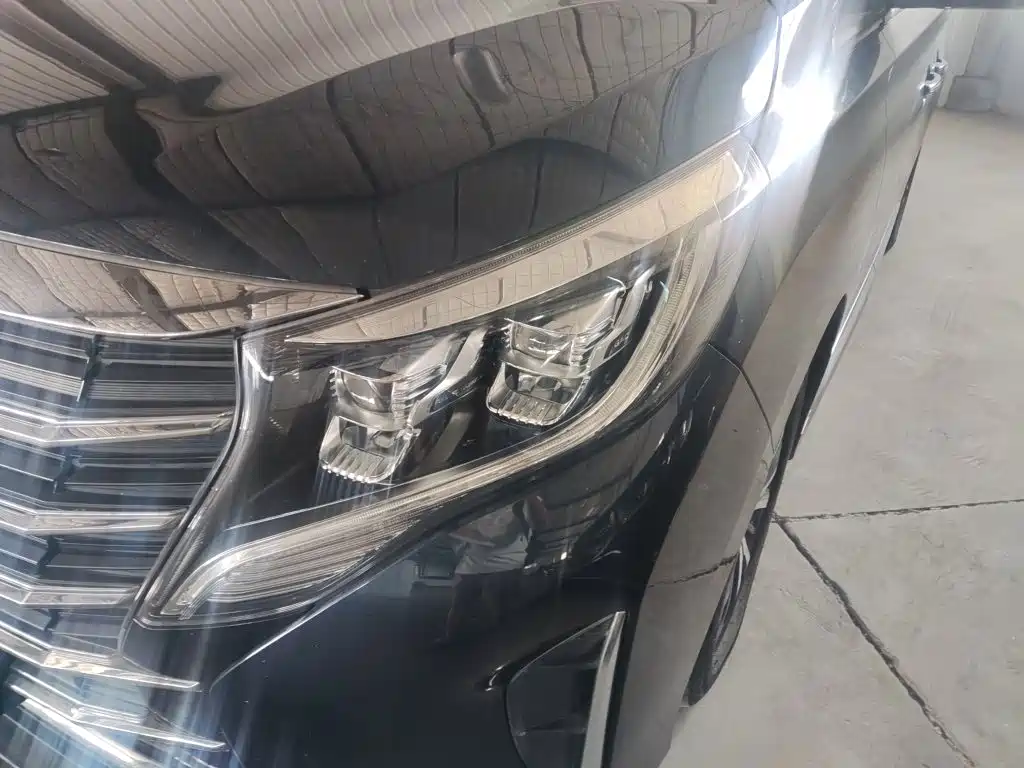 GAC Trumpchi M8 2021 — фото 24