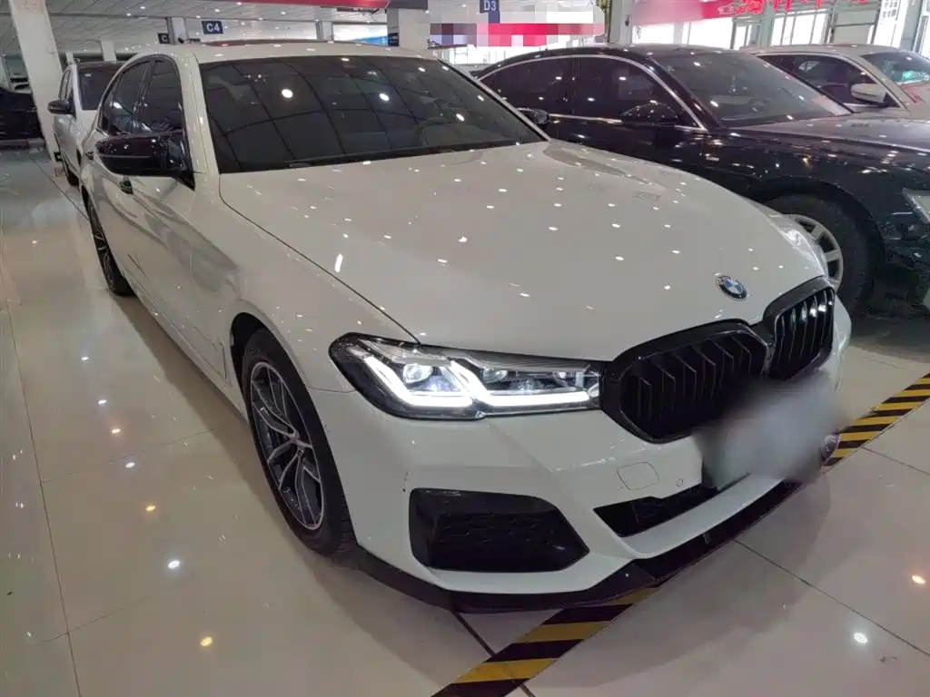 BMW 5 Series New Energy 2021 — фото 22