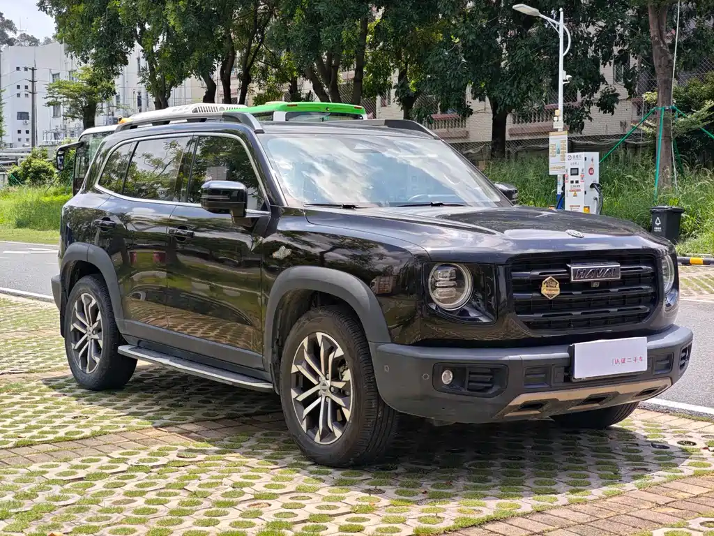 Haval Big Dog 2021 — фото 4