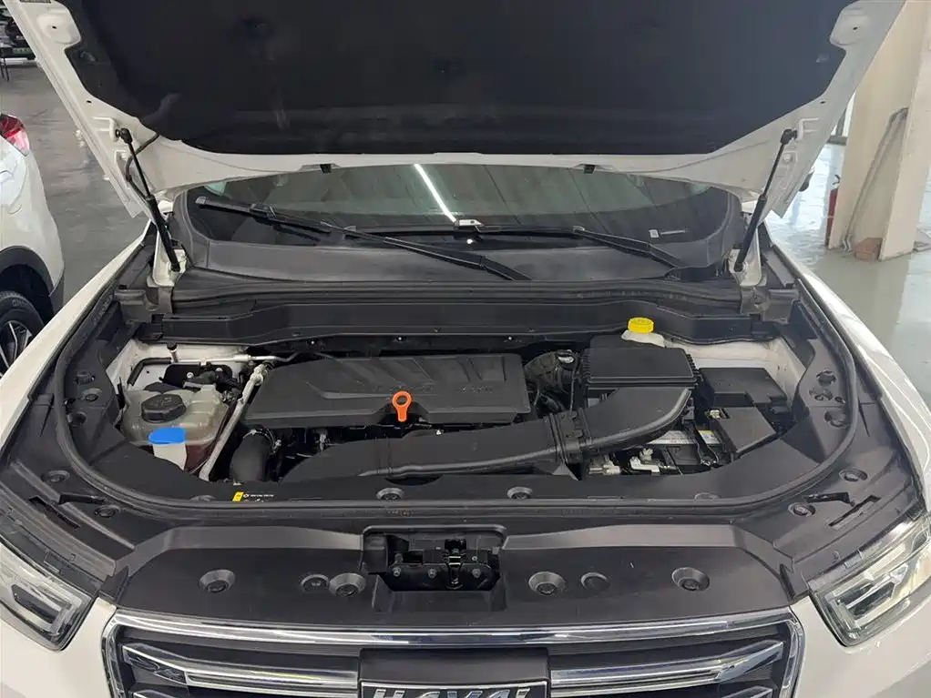 Haval H6 2020 — фото 10