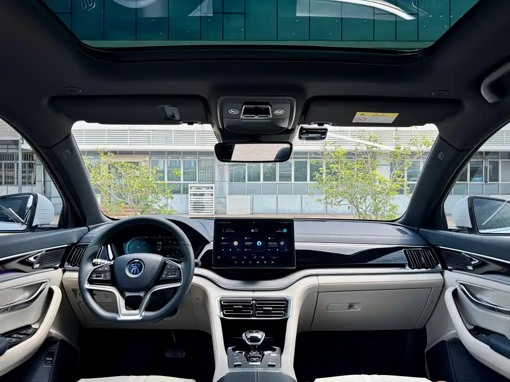 BYD PLUS New Energy 2022 — фото 10