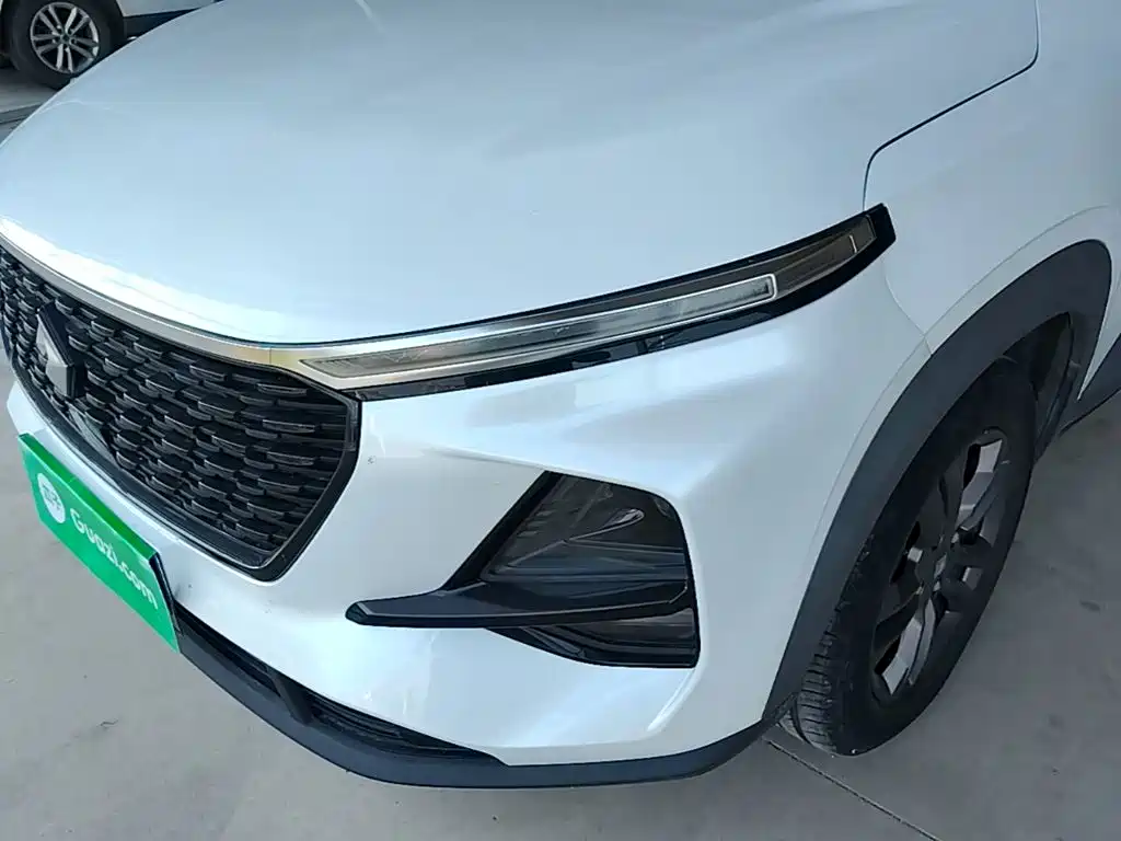 Baojun RS-3 2020 — фото 24