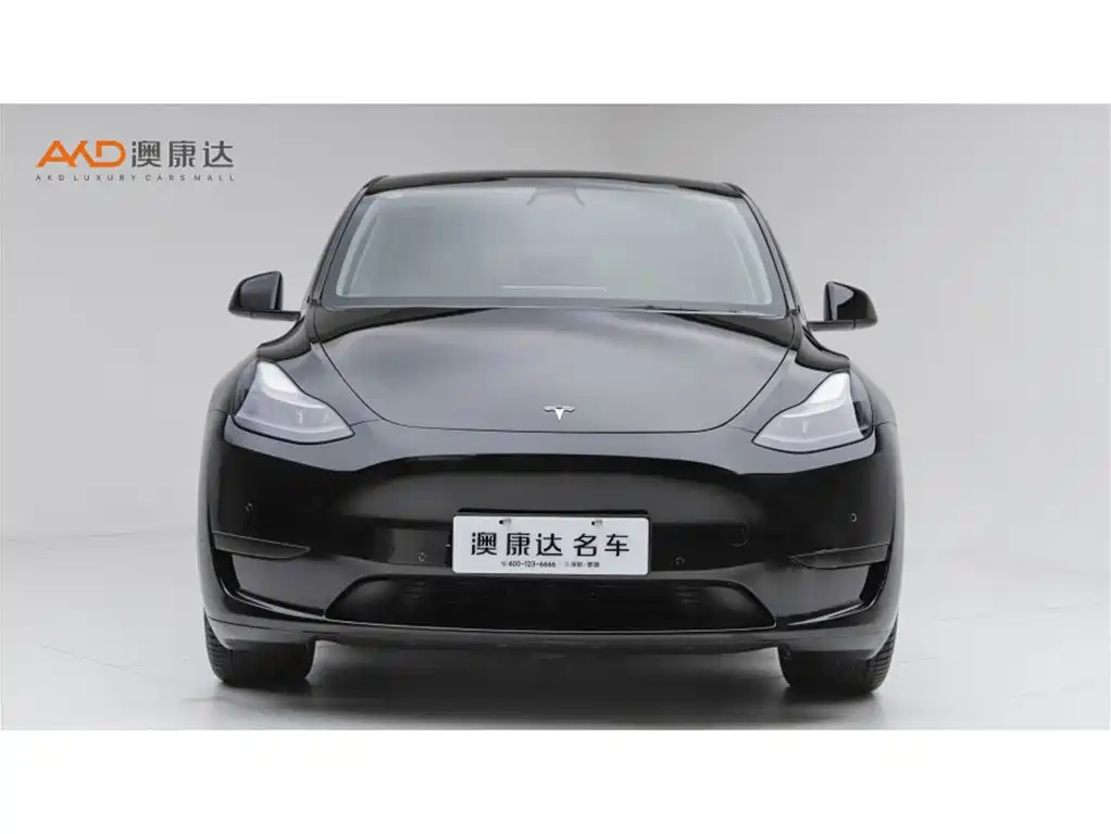 Tesla Model Y 2022 — фото 2