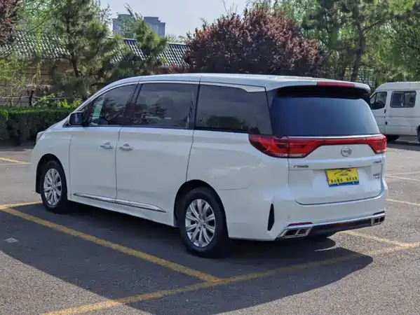 GAC Trumpchi M8 2020
